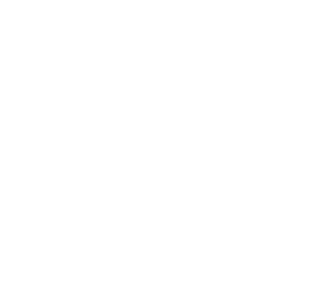 slider-1-decore-1.png