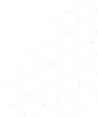 slider-1-decore-2.png