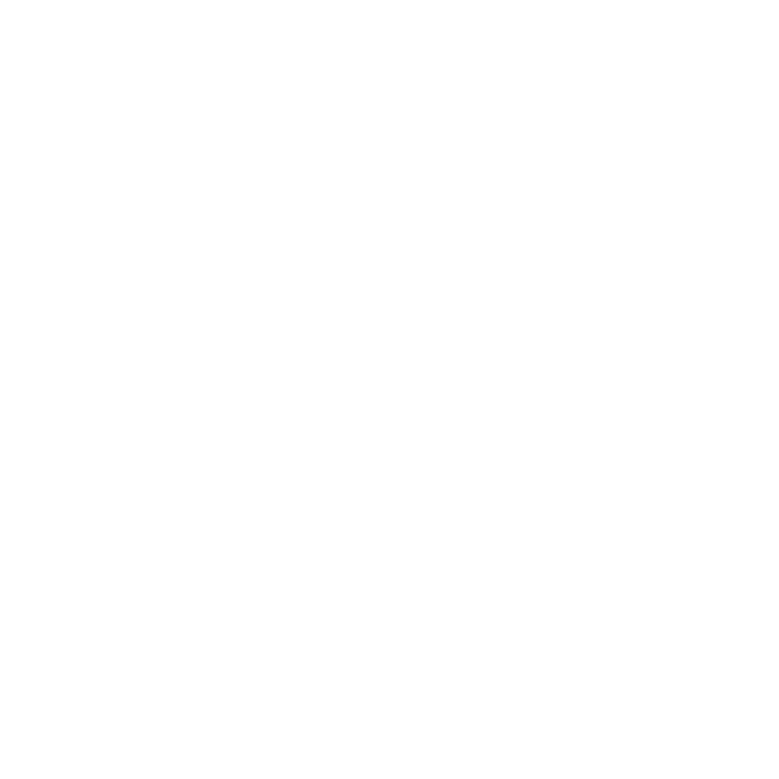 slider-1-decore-4.png